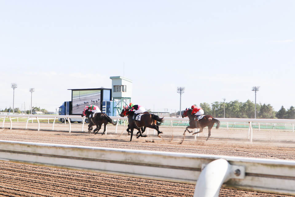 門別競馬場