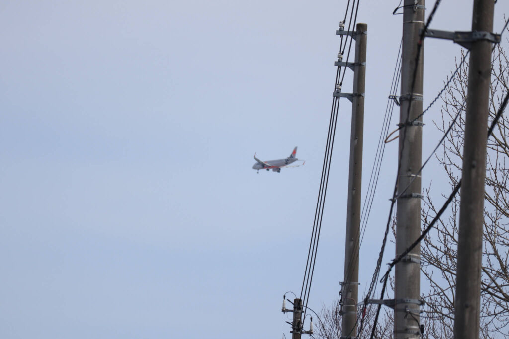 飛行機